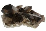 Dark Smoky Quartz Crystal Cluster - Brazil #84845-1